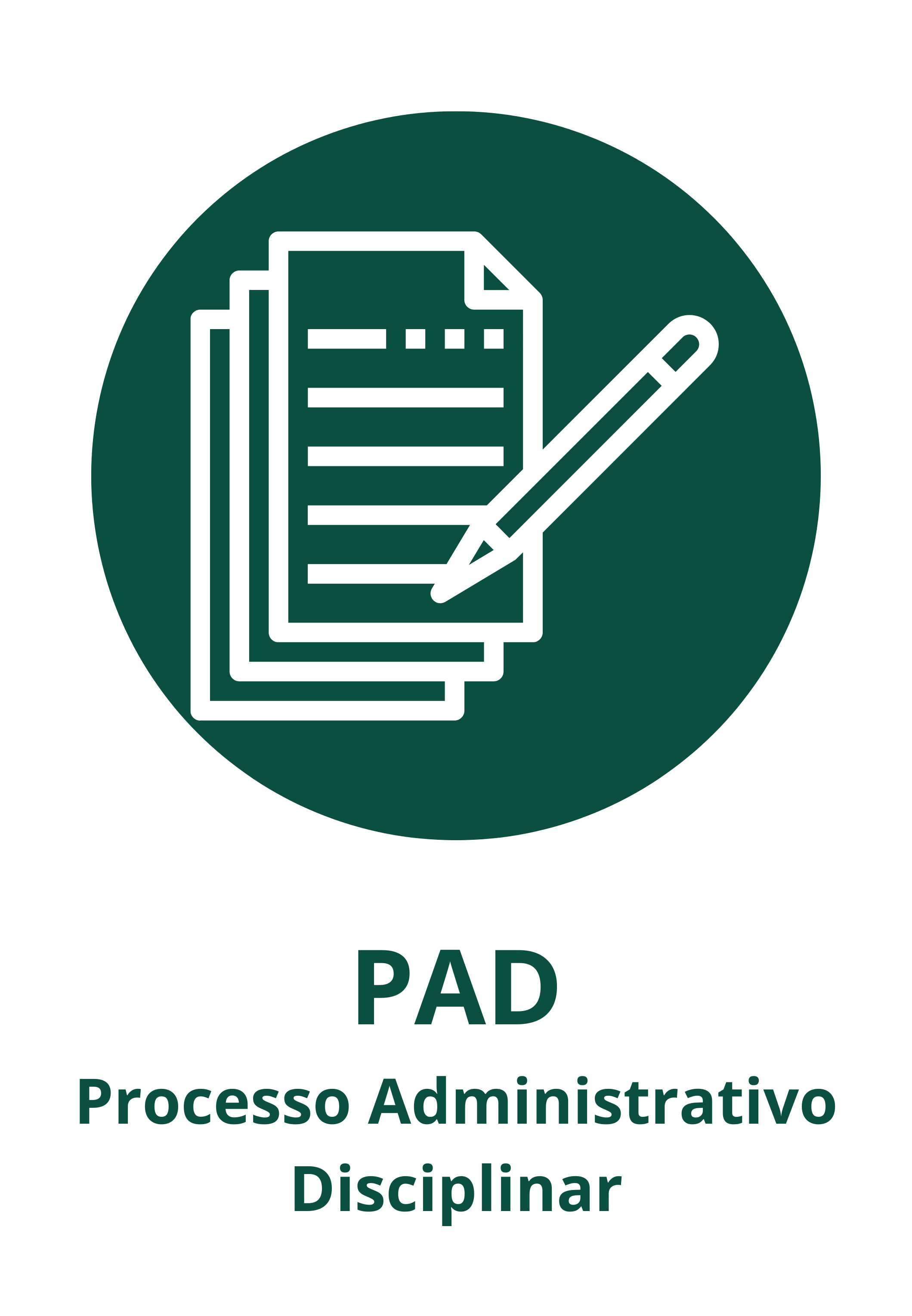 Processo Administrativo Disciplinar