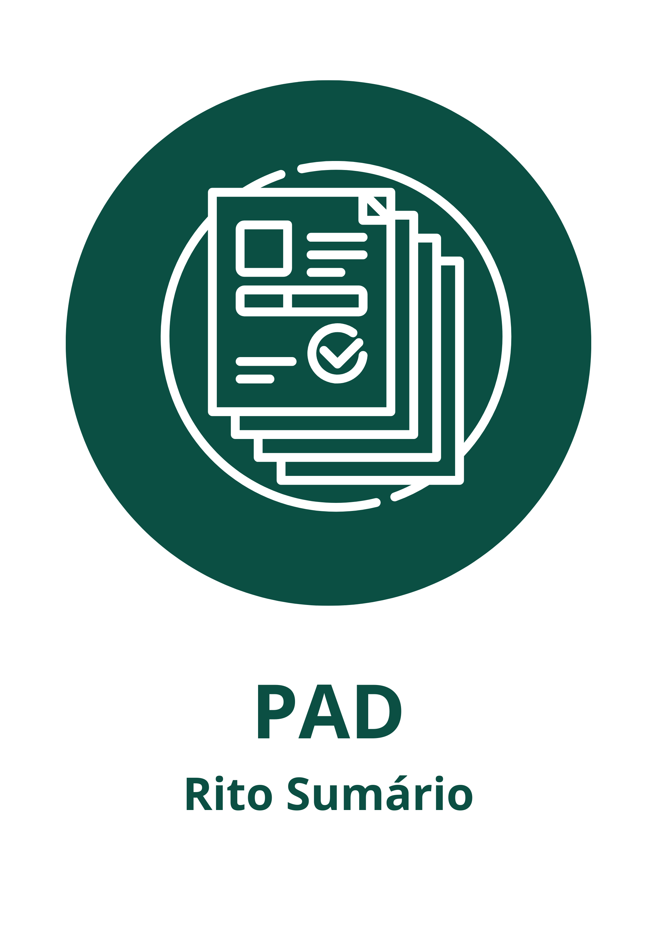 Processo Administrativo Disciplinar - Rito Sumário