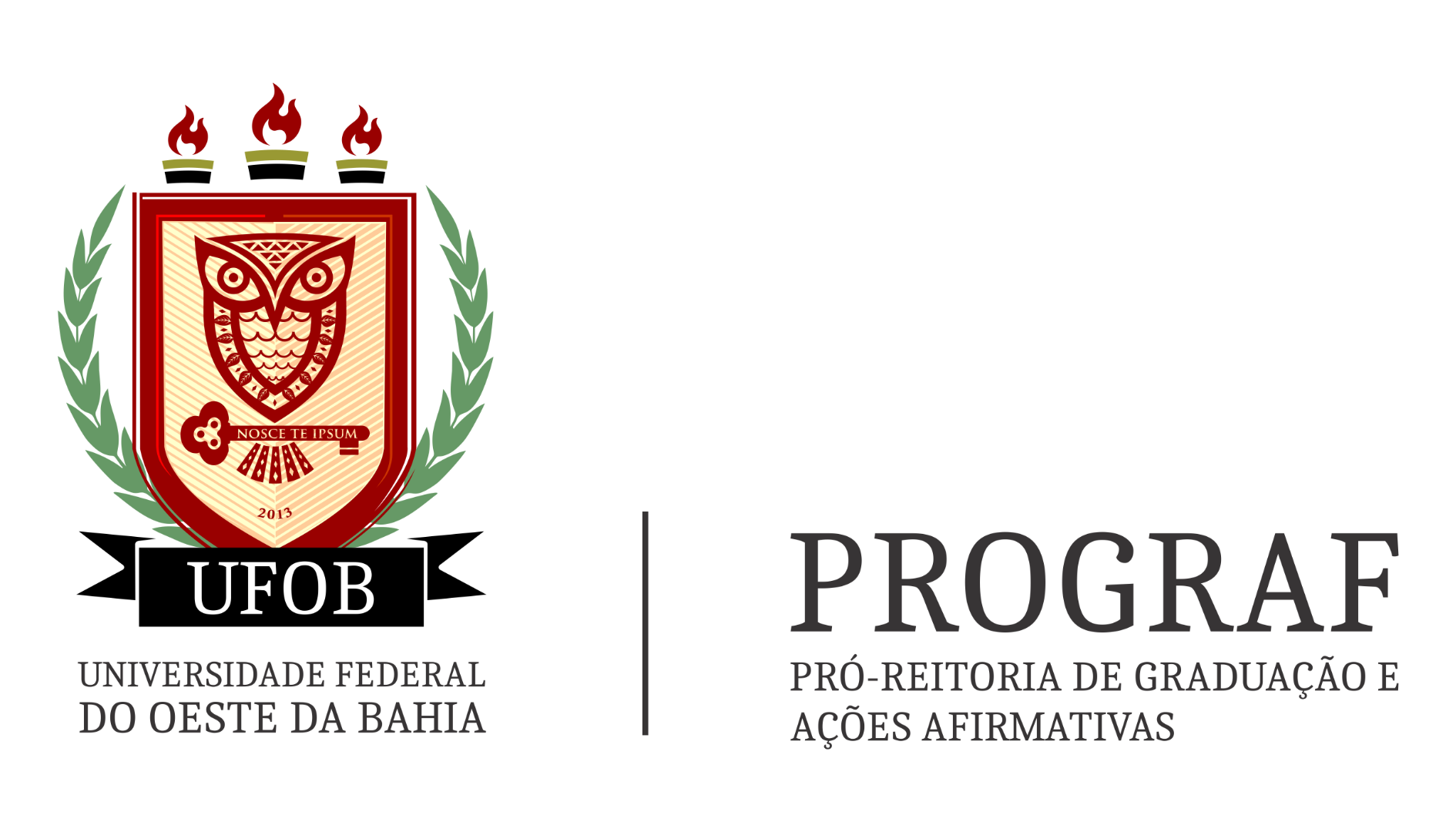 PROGRAF_BRASAO.png