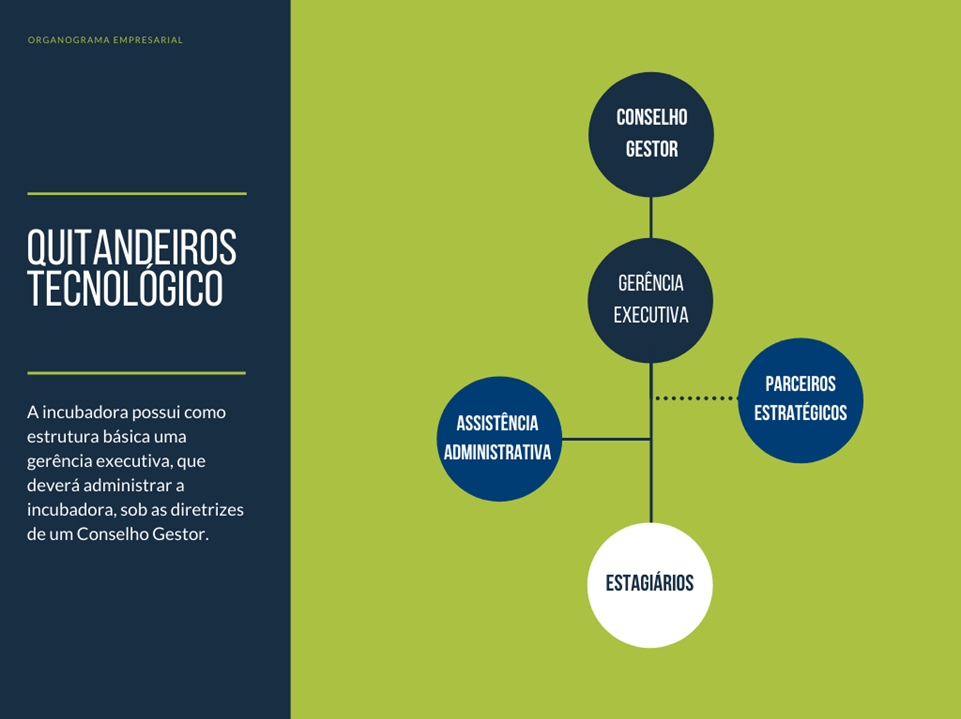Organograma da incubadora