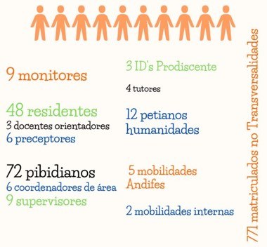 Programas Institucionais
