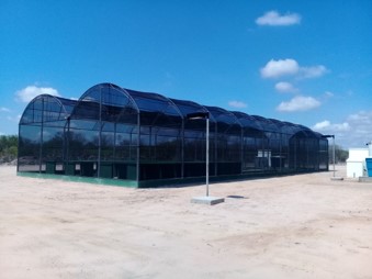 Telados e estufas, no CM Barra