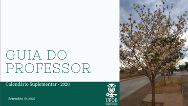 Guia do Professor