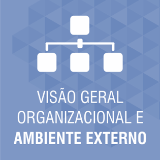 Visão Geral Organizacional e Ambiente Externo