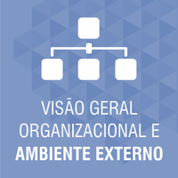 Visão Geral Organizacional e Ambiente Externo