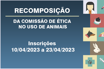 Portal-_Rec-Comissão.png