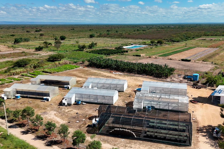 Imagem aérea da Fazenda Escola da UFOB, em Barra | Maio de 2025