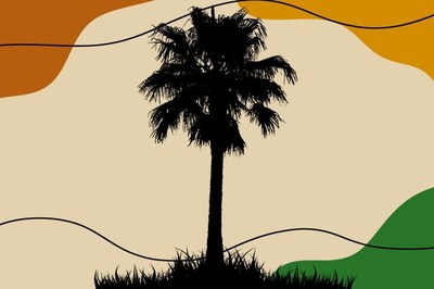 Imagem em fundo bege com desenho de um Buriti