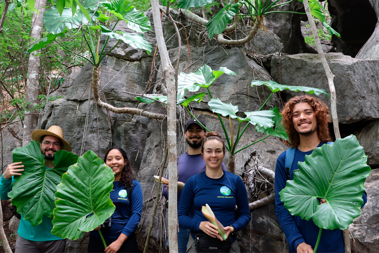 Imagem de equipe de pesquisadores da UFOB que descobriu nova espécie de planta em São Desidério, no Oeste da Bahia