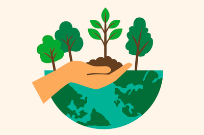 Evento de lançamento do Projeto de Sistemas Agroflorestais no Cerrado será no dia 26 de setembro
