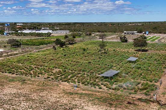 Imagem aérea Fazenda Escola, em Barra