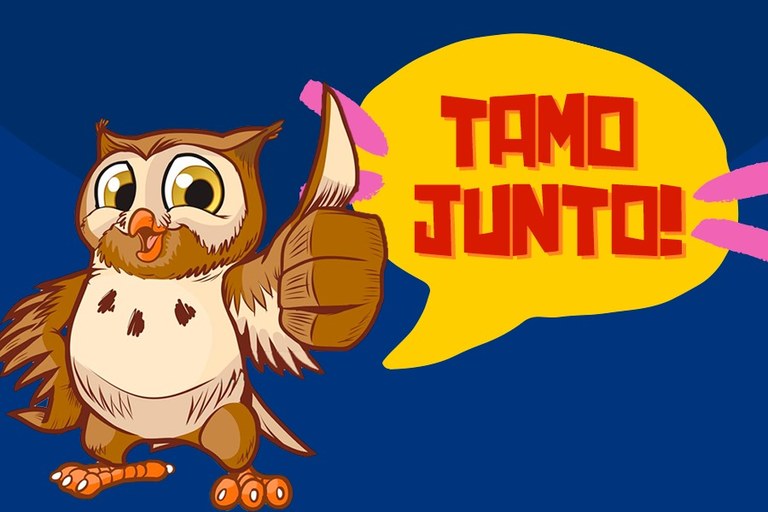 Imagem em fundo azul com coruja e um balão de texto com a frase " Tamo Junto!"