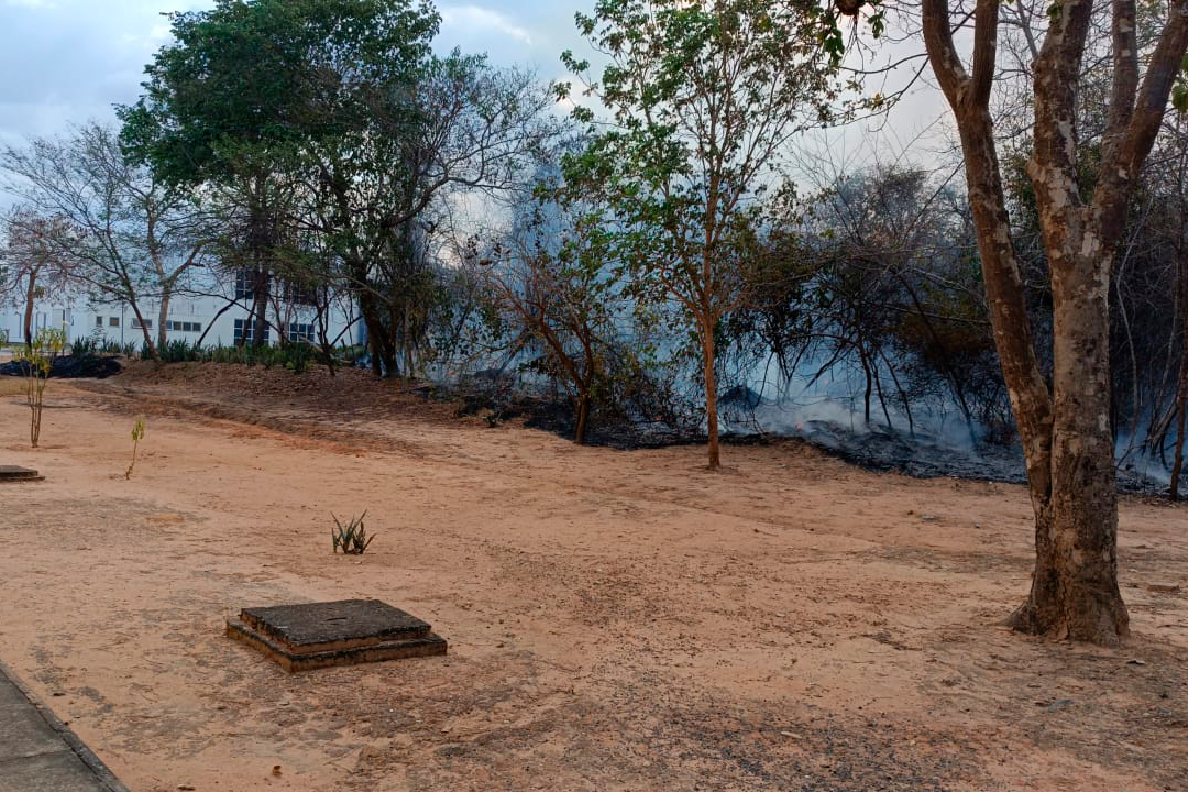 Imagem de área queimada em incêndio no Campus Reitor Edgard Santos, em Barreiras, 