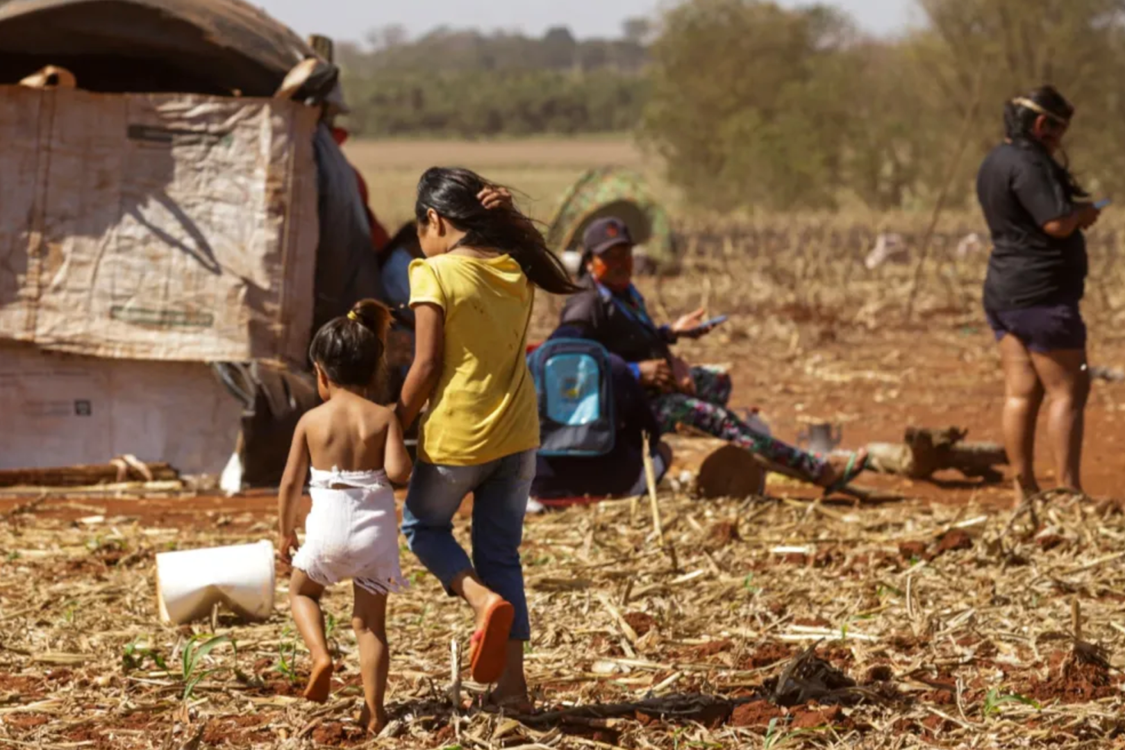  Terra Indígena Panambi-Lagoa Rica, delimitado pela Funai em 2011, onde ocorreu um ataque armado de fazendeiros que deixou 10 indígenas Guarani-Kaiowá feridos. Relatório da Abrasco destaca violência contínua sofrida por esses povos indígenas | Foto: Bruno Peres/Agência Brasil 