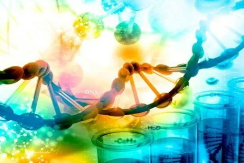 Seleção disponibiliza 24 vagas no mestrado e doutorado em Bioquímica e biologia molecular